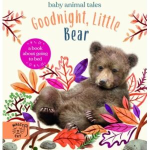 Magic Cat Publishing Goodnight, Little Bear : A Book About Going To Bed Magic Cat Publishing Goodnight, Little Bear : A Book About Going To Bed
