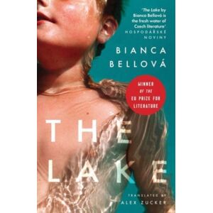 Parthian Books The Lake Parthian Books The Lake