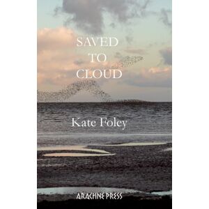 Arachne Press Saved To Cloud Arachne Press Saved To Cloud