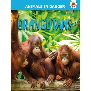 Hungry Tomato Ltd Orangutans : Animals In Danger Hungry Tomato Ltd Orangutans : Animals In Danger
