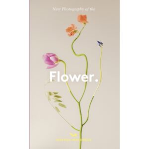 Hoxton Mini Press Flower. : Photography Of The Hoxton Mini Press Flower. : Photography Of The