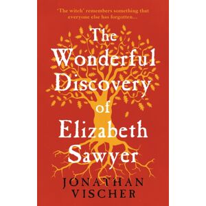 The Book Guild Ltd The Wonderful Discovery Of Elizabeth Sawyer The Book Guild Ltd The Wonderful Discovery Of Elizabeth Sawyer