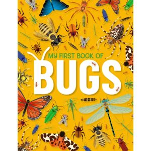 Hungry Tomato Ltd My First Book Of Bugs Hungry Tomato Ltd My First Book Of Bugs
