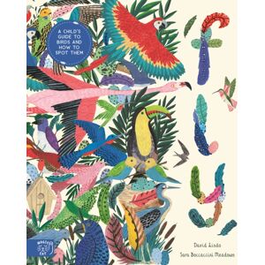 Magic Cat Publishing Fly: Shortlisted For The Wainwright Prize For Children'S Nature And Conservation Writing 2024 : A Child'S Guide To Birds And Where To Spot Them Magic Cat Publishing Fly: Shortlisted For The Wainwright Prize For Children'S Nature And Conservation Writing 2024 : A Child'S Guide To Birds And Where To Spot Them