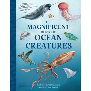 Weldon Owen Children's Books The Magnificent Book Of Ocean Creatures Weldon Owen Children's Books The Magnificent Book Of Ocean Creatures