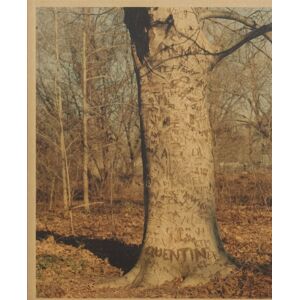 Guest Editions Common Place Guest Editions Common Place