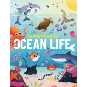 Hungry Tomato Ltd My First Book Of Ocean Life : An Illustrated First Look At Ocean Life From Around The World Hungry Tomato Ltd My First Book Of Ocean Life : An Illustrated First Look At Ocean Life From Around The World