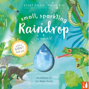 Mama Makes Books Small, Sparkling Raindrop : A Fact-Filled Picture Book About The Water Cycle With A Large Fold-Out (Ages 4-8) Mama Makes Books Small, Sparkling Raindrop : A Fact-Filled Picture Book About The Water Cycle With A Large Fold-Out (Ages 4-8)