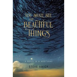 Acre Books You Shall See The Beautiful Things – A Novel & A Nocturne Acre Books You Shall See The Beautiful Things – A Novel & A Nocturne