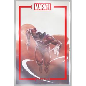 Clover Press The Marvel Portfolio Of Alex Maleev : The Marvel Universe Clover Press The Marvel Portfolio Of Alex Maleev : The Marvel Universe