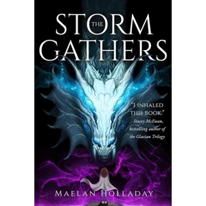 Inimitable Books, LLC The Storm Gathers Inimitable Books, LLC The Storm Gathers