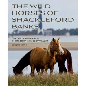 John F Blair Publisher Wild Horses Of Shackleford Banks John F Blair Publisher Wild Horses Of Shackleford Banks