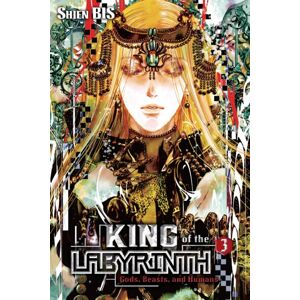 Little, Brown & Company King Of The Labyrinth, Vol. 3 (Light Novel) Little, Brown & Company King Of The Labyrinth, Vol. 3 (Light Novel)