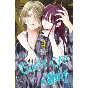 Little, Brown & Company Stray Cat & Wolf, Vol. 4 Little, Brown & Company Stray Cat & Wolf, Vol. 4