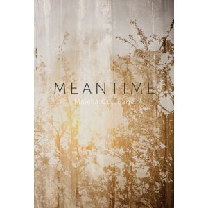 Otago University Press Meantime Otago University Press Meantime