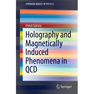 Springer Nature Switzerland AG Holography And Magnetically Induced Phenomena In Qcd Springer Nature Switzerland AG Holography And Magnetically Induced Phenomena In Qcd