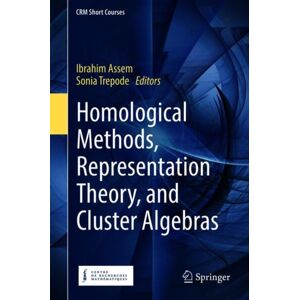 Springer International Publishing AG Homological Methods, Representation Theory, And Cluster Algebras Springer International Publishing AG Homological Methods, Representation Theory, And Cluster Algebras