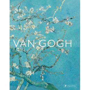 Prestel Van Gogh : The Bigger Picture Prestel Van Gogh : The Bigger Picture
