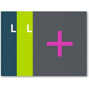 Prestel Chris Levine : Light (Special Edition) Prestel Chris Levine : Light (Special Edition)