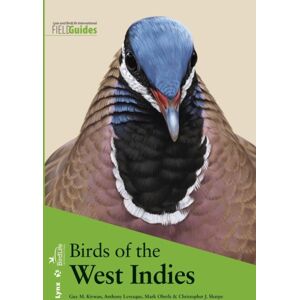 Alada Books, S.L. Birds Of The West Indies Alada Books, S.L. Birds Of The West Indies