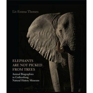 Aarhus University Press Elephants Are Not Picked From Trees : Animal Biographies In The Gothenburg Museum Of Natural History Aarhus University Press Elephants Are Not Picked From Trees : Animal Biographies In The Gothenburg Museum Of Natural History