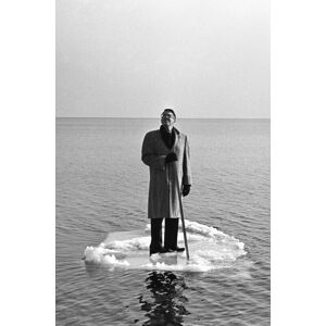 Damiani Steve Schapiro And Theophilus Donoghue: Seventy Thirty Damiani Steve Schapiro And Theophilus Donoghue: Seventy Thirty