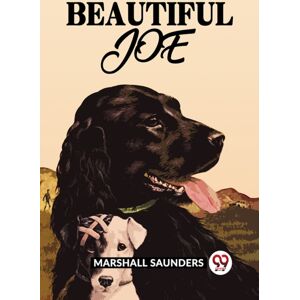 Double 9 Books LLP Beautiful Joe Double 9 Books LLP Beautiful Joe