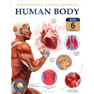 Prakash Books Knowledge Encyclopedia For Children: Human Body : Boxset Of 6 Books Prakash Books Knowledge Encyclopedia For Children: Human Body : Boxset Of 6 Books