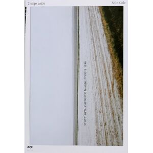 APE 2 Steps Aside APE 2 Steps Aside