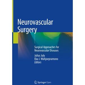Springer Verlag, Singapore Neurovascular Surgery : Surgical Approaches For Neurovascular Diseases Springer Verlag, Singapore Neurovascular Surgery : Surgical Approaches For Neurovascular Diseases