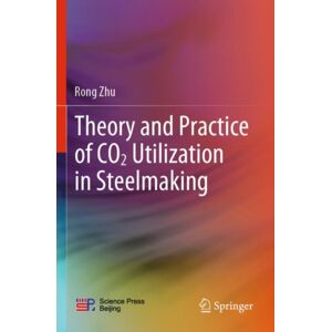 Springer Verlag, Singapore Theory And Practice Of Co2 Utilization In Steelmaking Springer Verlag, Singapore Theory And Practice Of Co2 Utilization In Steelmaking