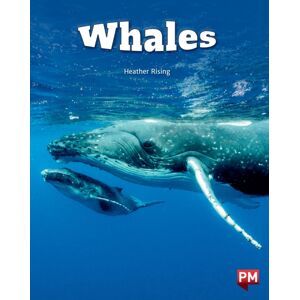 SCHOLASTIC LTD Whales Level 24 X6 SCHOLASTIC LTD Whales Level 24 X6
