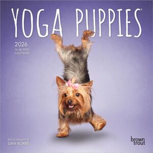 BrownTrout Yoga Puppies 2026 Mini 7x7 Calendar BrownTrout Yoga Puppies 2026 Mini 7x7 Calendar