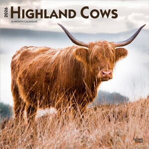 BrownTrout Highland Cows 2026 Square Flap Calendar BrownTrout Highland Cows 2026 Square Flap Calendar
