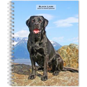 BrownTrout Labrador Retrievers, Black 2026 Engagement Diary BrownTrout Labrador Retrievers, Black 2026 Engagement Diary