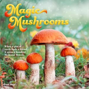 BrownTrout Magic Mushrooms 2026 Square Flap Brush Dance Calendar BrownTrout Magic Mushrooms 2026 Square Flap Brush Dance Calendar