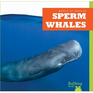 Jump! Incorporated Sperm Whales Jump! Incorporated Sperm Whales