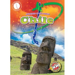 Bellwether Media Chile Bellwether Media Chile