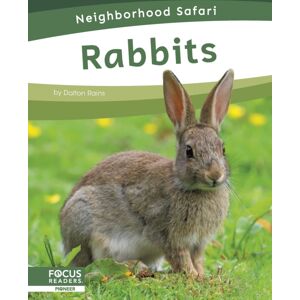 North Star Editions Rabbits North Star Editions Rabbits