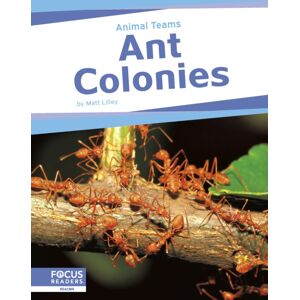 North Star Editions Ant Colonies North Star Editions Ant Colonies