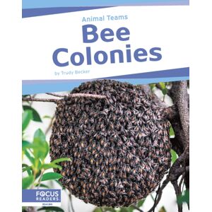 North Star Editions Bee Colonies North Star Editions Bee Colonies