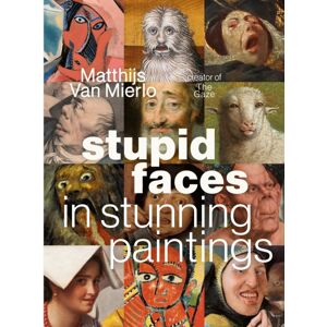Page Street Publishing Co. Stupid Faces In Stunning Paintings : A Serious Exploration Of Art History'S Silliest Expressions Page Street Publishing Co. Stupid Faces In Stunning Paintings : A Serious Exploration Of Art History'S Silliest Expressions