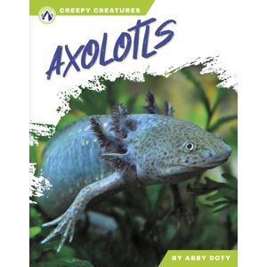 North Star Editions Axolotls North Star Editions Axolotls