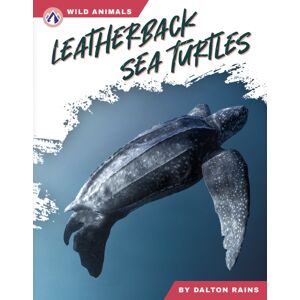 North Star Editions Leatherback Sea Turtles North Star Editions Leatherback Sea Turtles