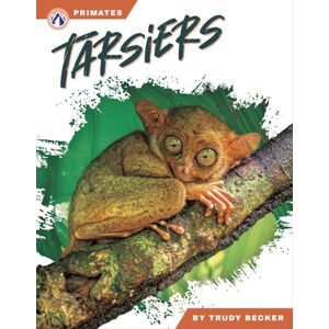 North Star Editions Tarsiers North Star Editions Tarsiers