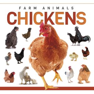 North Star Editions Chickens North Star Editions Chickens