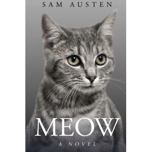 Meow Library Meow Meow Library Meow