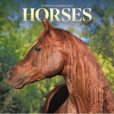 CAROUSEL CALENDARS 2027 Horses M CAROUSEL CALENDARS 2027 Horses M