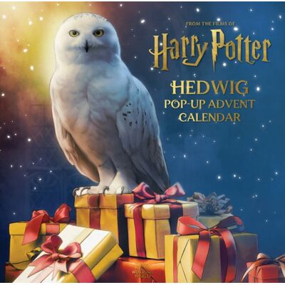 Titan Books Ltd Harry Potter: Hedwig Pop-Up Advent Calendar Titan Books Ltd Harry Potter: Hedwig Pop-Up Advent Calendar