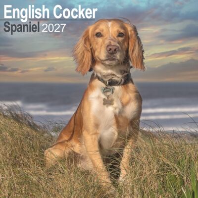 CAROUSEL CALENDARS 2027 English Cocker Spaniel Wall CAROUSEL CALENDARS 2027 English Cocker Spaniel Wall